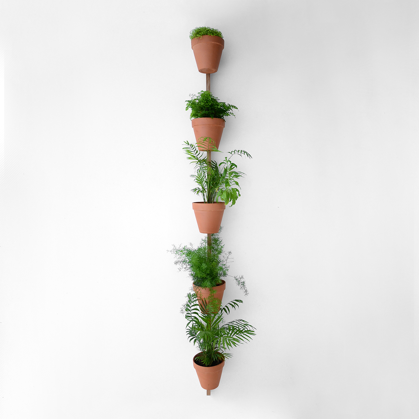 Support mural XPOT / Pour 5 pots ou étagères de fleurs – H 250 cm