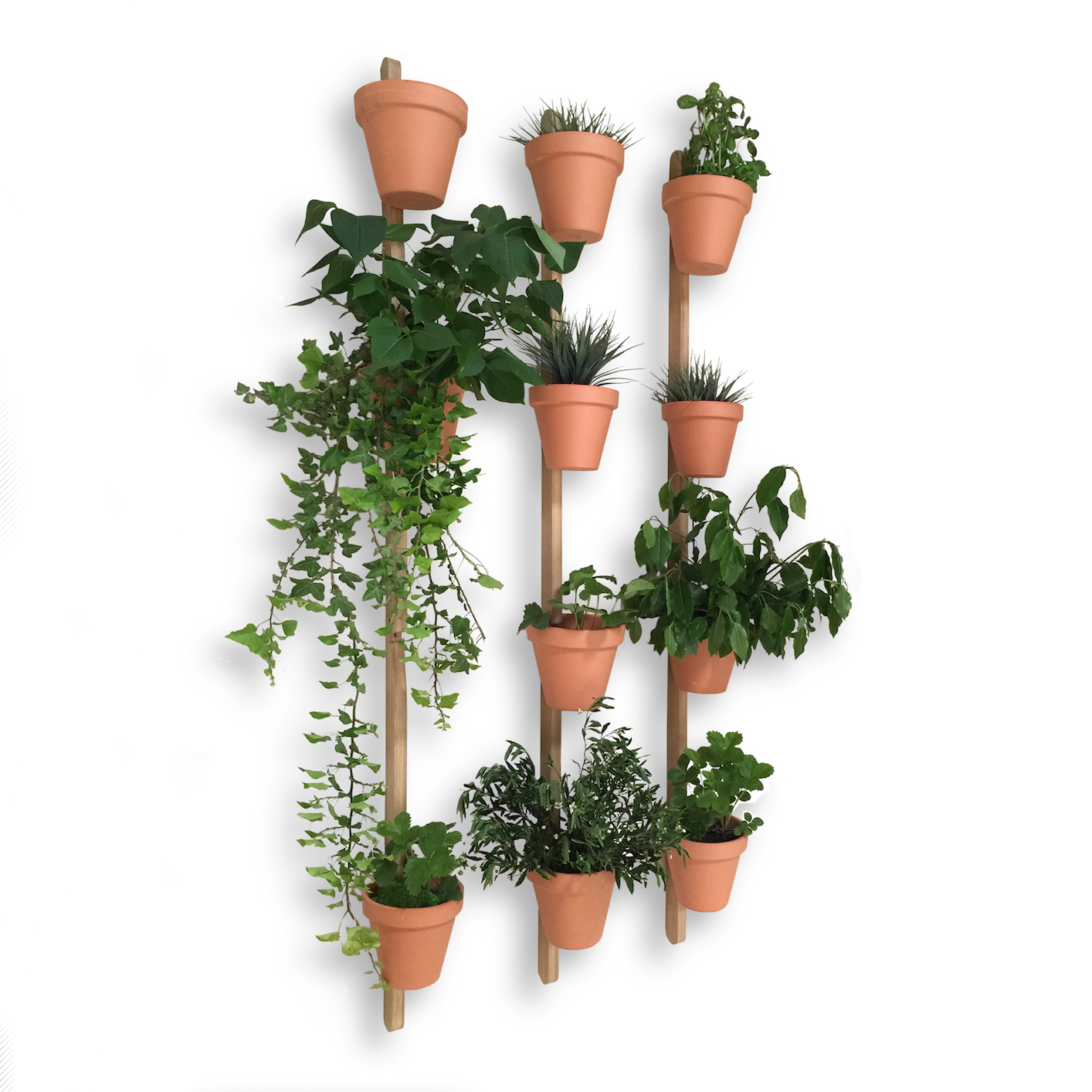 Support mural XPOT / Pour 5 pots ou étagères de fleurs – H 250 cm